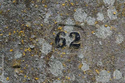 Grave Number 66 At The Jewish Cemetery Zeeburg At Amsterdam The Netherlands 22-6-2020 photo