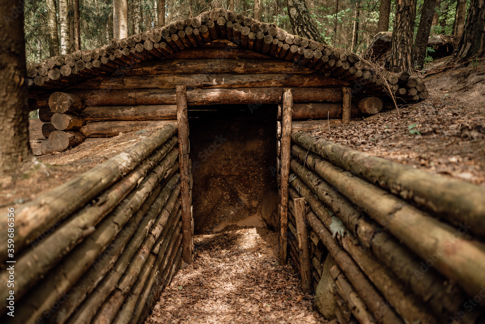 old military dugout in the forest