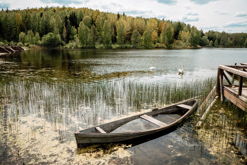 Old sunken wooden boat on lake in thicket of grass