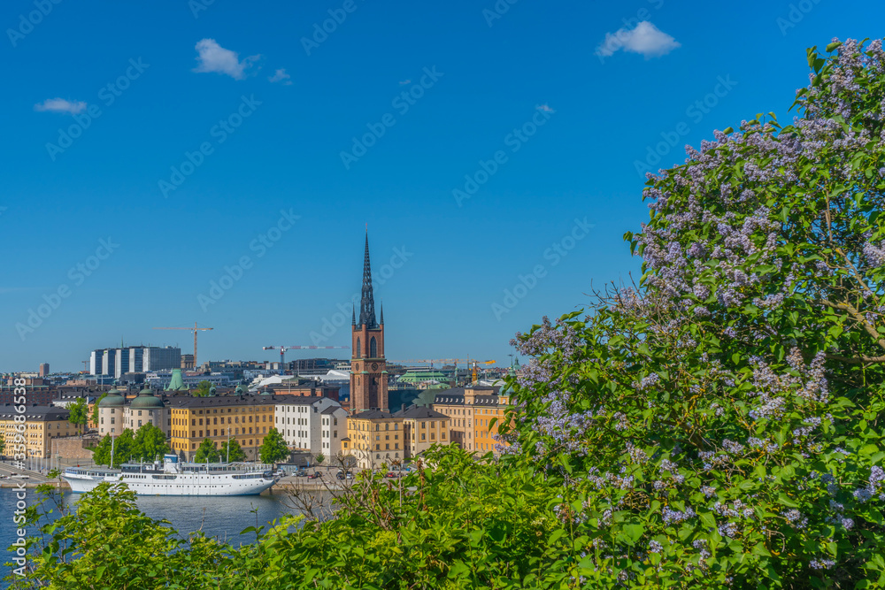 Fototapeta premium View of Stockholm from Sodermalm district. Panorama of the old town (Gamla Stan). Panorama with liliac bush.