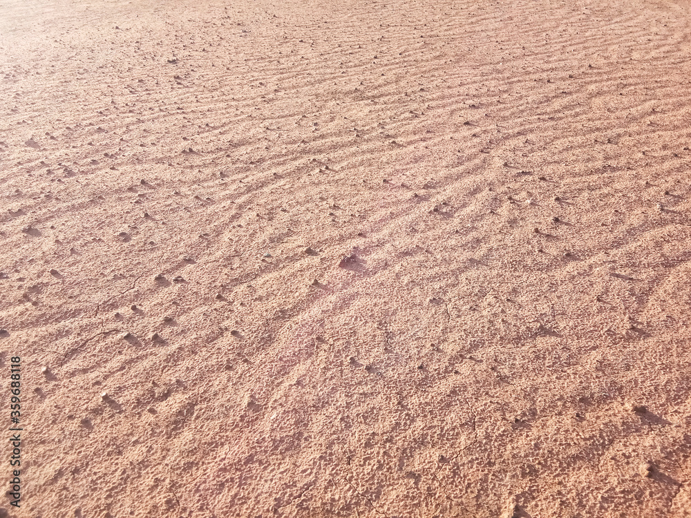 Dry ground texture with exotic wave characteristics caused by wind blowing in the top view Dry ground texture with exotic wave characteristics caused by wind blowing in the top view