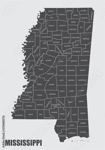 Mississippi County Map photo