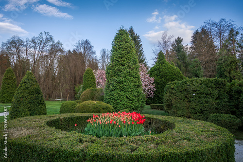 Botanic park in Slovenia. Visiting arboretum in spring season. Colorful landscape