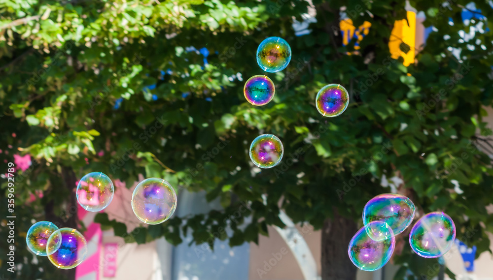 soap bubbles in the sun on a background of trees