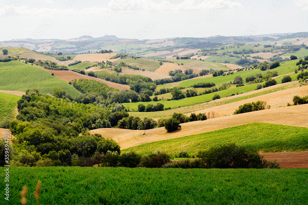 Marche Region, cultivated hills in summer, meadow, wheat and green fields. Italy