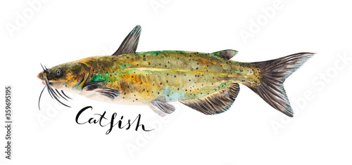 Catfish