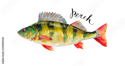 Perch
