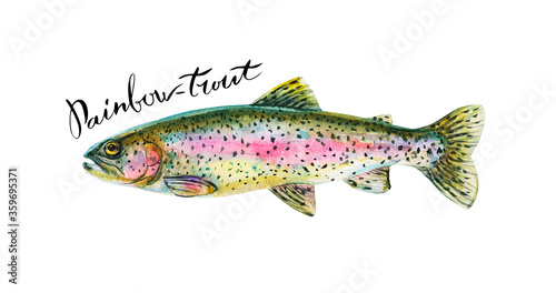 Rainbow trout