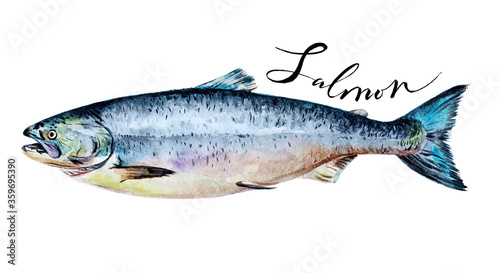 Salmon