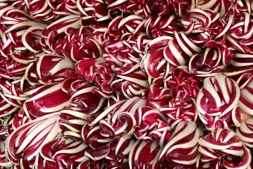 background of fresh red lettuce called late radicchio typical of