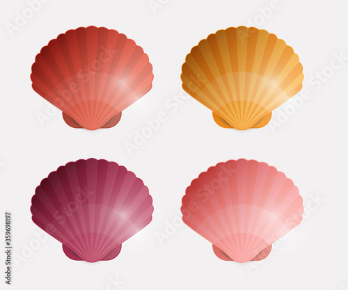 Colorful Seashells vector Illustration. Sea Shell Icons Set.