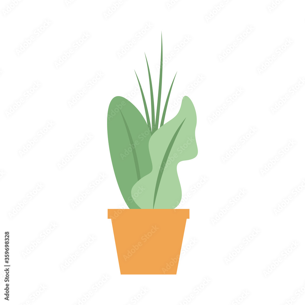 Isolated plant inside pot vector design Isolated plant inside pot vector design
