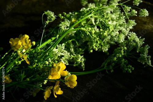 yellow flowers on the green background