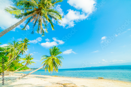 Beautiful tropical island beach, summer nature scene beach, blue sky and palm trees - Koh Samui Thailand