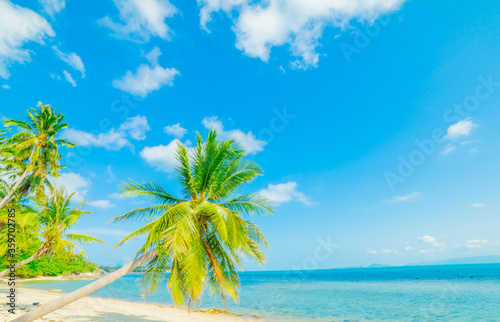 Fototapeta Naklejka Na Ścianę i Meble -  Beautiful tropical island beach, summer nature scene beach, blue sky and palm trees - Koh Samui  Thailand