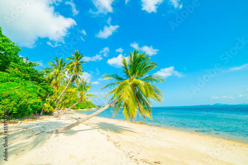 Beautiful sunny beach. View of nice tropical beach with palms around. Holiday and Vacation concept