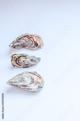 Les huîtres de Bretagne, baie de Morlaix