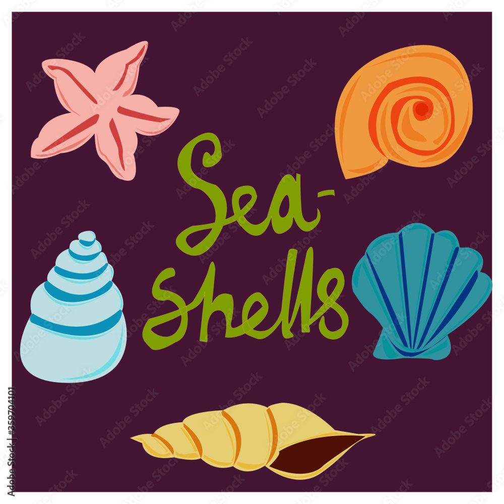 Sea shells of different shapes and colors Sea shells of different shapes and colors