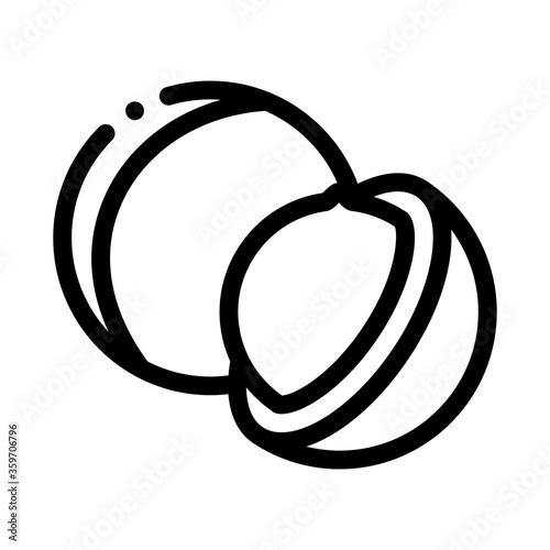 macadamia nut icon vector. macadamia nut sign. isolated contour symbol illustration