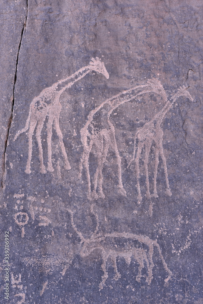 Obraz premium ROCK ART IN TASSILI NATIONAL PARK IN ALGERIA