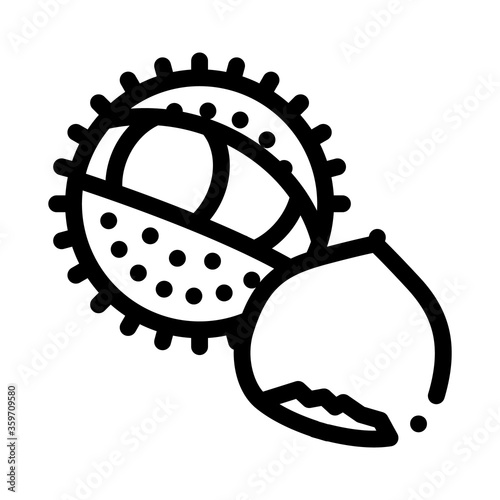 chestnut nut icon vector. chestnut nut sign. isolated contour symbol illustration
