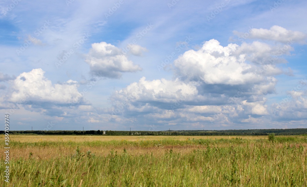 Obraz premium wheat field and blue sky