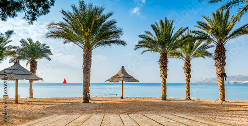 tropical beach with palm trees