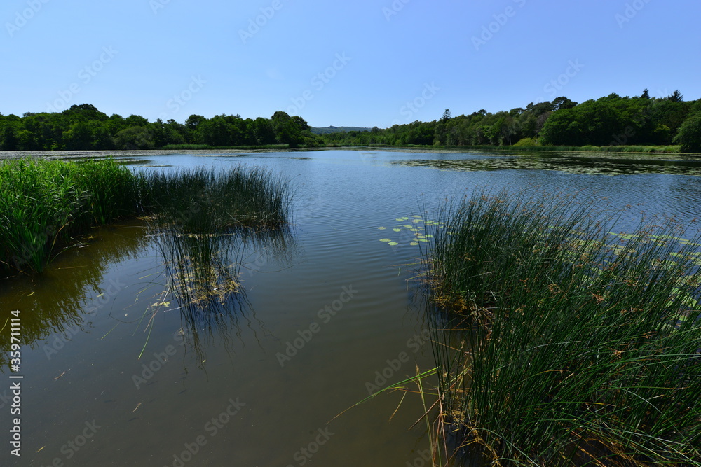 Obraz premium Burton Mill pond in Petworth, West Sussex