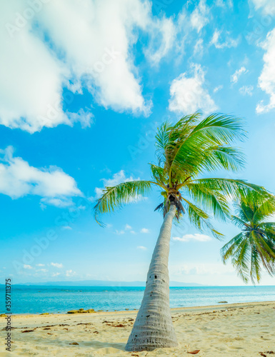 Fototapeta Naklejka Na Ścianę i Meble -  Summer beach - palm tree, mountain on remote island, white sand, sea water, tropical nature