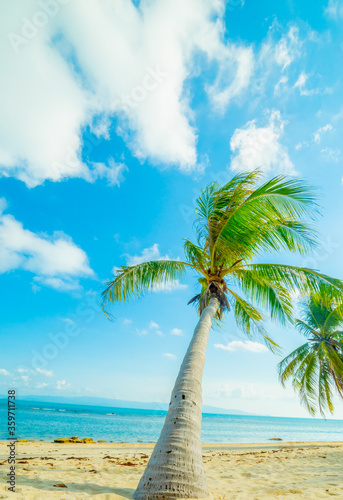 Summer beach - palm tree  mountain on remote island  white sand  sea water  tropical nature