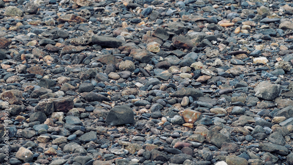 Scree on the beach Beautiful nature Scree on the beach Beautiful nature