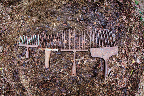 A set of ancient poaching tools for fishing - hooks and forks photo