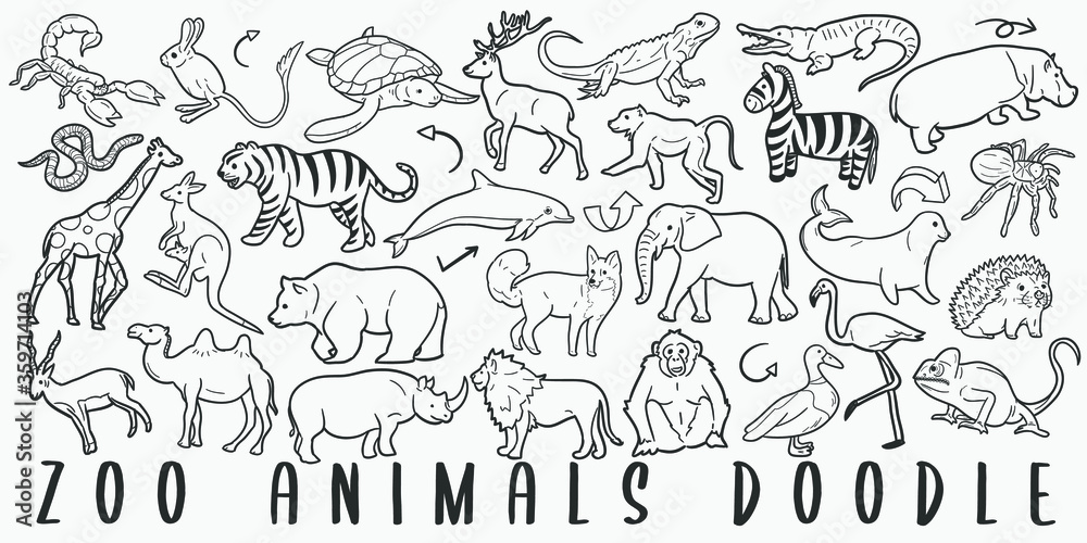 Zoo Animals Doodle Line Art Illustration. Hand Drawn Vector Clip Art.  Banner Set Logos. Stock Vector | Adobe Stock