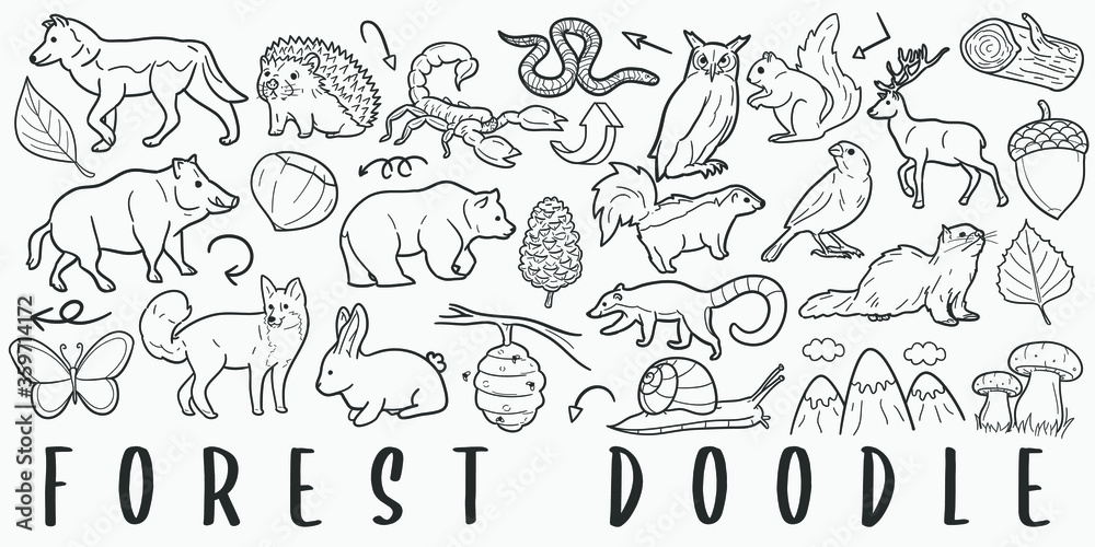 Forest Animals Doodle Line Art Illustration. Hand Drawn Vector Clip Art.  Banner Set Logos. Stock Vector | Adobe Stock