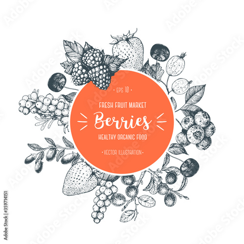 Berries hand drawn vector illustration. Hand drawn sketch illustration with with cherry, raspberry, cranberry, barberry, strawberry, goji berries. Healthy food, circle design template with berries.