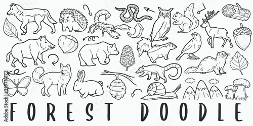 Forest Animals Doodle Line Art Illustration. Hand Drawn Vector Clip Art. Banner Set Logos.