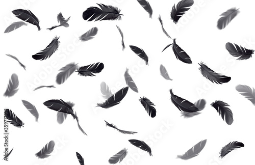 Abstract background. Group of black feathers floating on a white background.