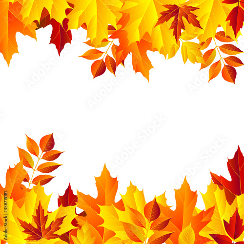 autumn leaves frame  isolated on white background. vector illustration. colorful fall red and yellow leaf Back to school border design elements