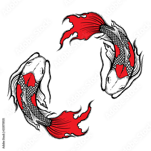 Hand drawn outline Koi fish vector illustration, tattoo design, japan style, line art ink work, animal wildlife.