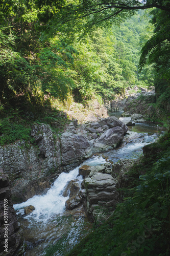 山奥の清流