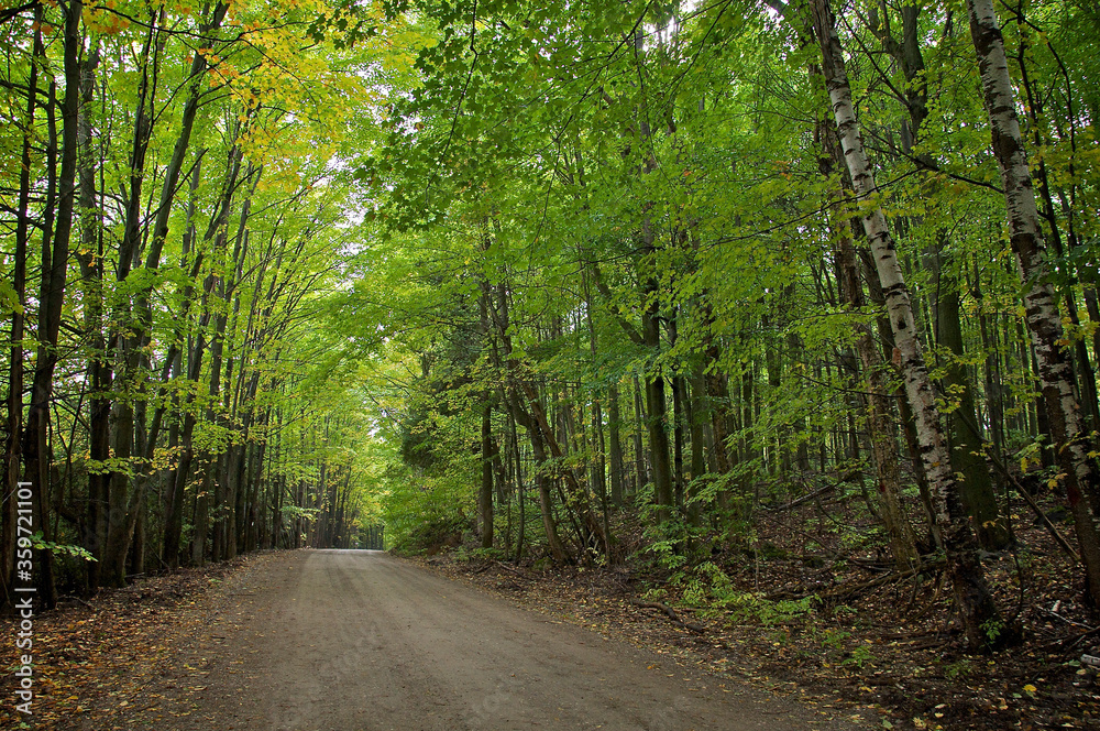 Country road with trees on both sides, Orangeville, Ontario, Canada. Country road with trees on both sides, Orangeville, Ontario, Canada.