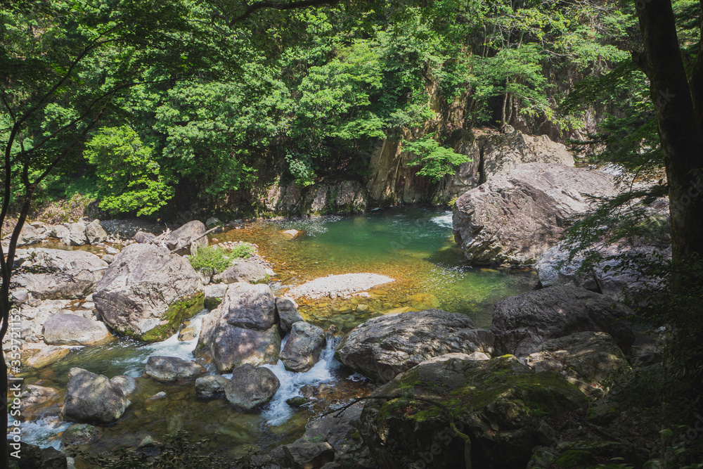 山奥の清流