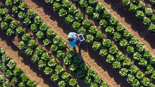 High aerial zoom out circular view of a Black African female farmer using a digital tablet monitoring vegetables on large scale vegetable farm