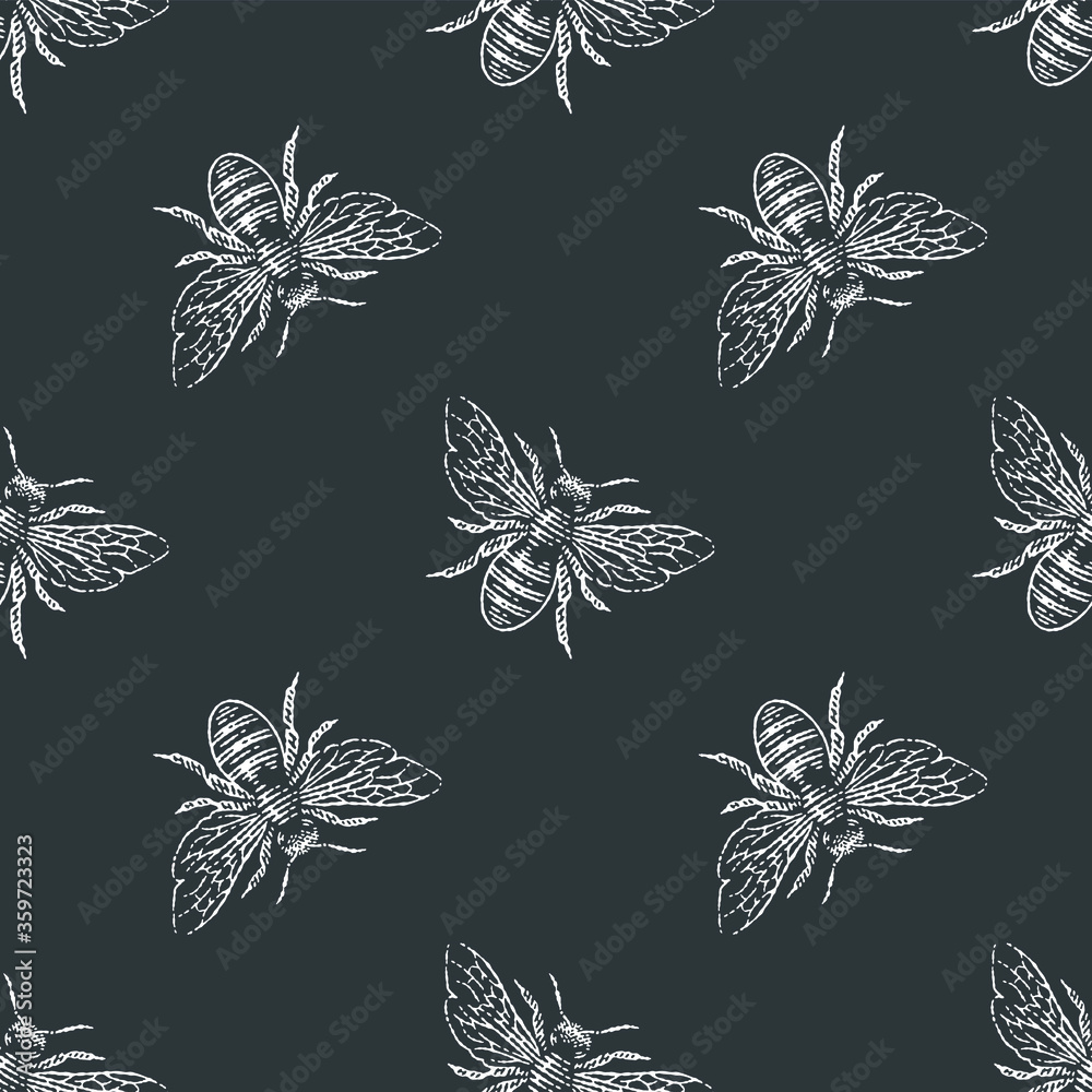 Fototapeta premium Bee seamless vector pattern. Hand drawn engraving style illustration. 