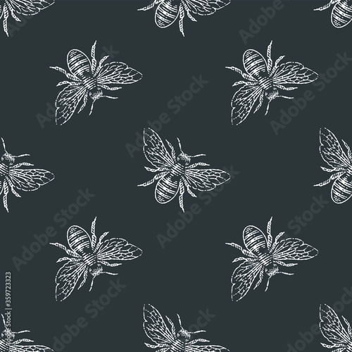 Bee seamless vector pattern. Hand drawn engraving style illustration.
