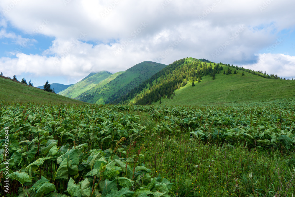 Green ridge in mountain and blue cloud sky. Composition of nature. Spring ountain. Composition of nature. Slovakia little fatra europe