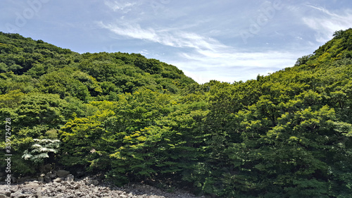 한국 제주도 한라산 둘레길 풍경