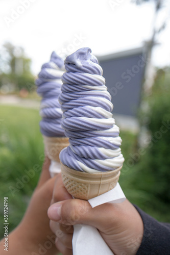 twisted ice creams - vanilla and berries