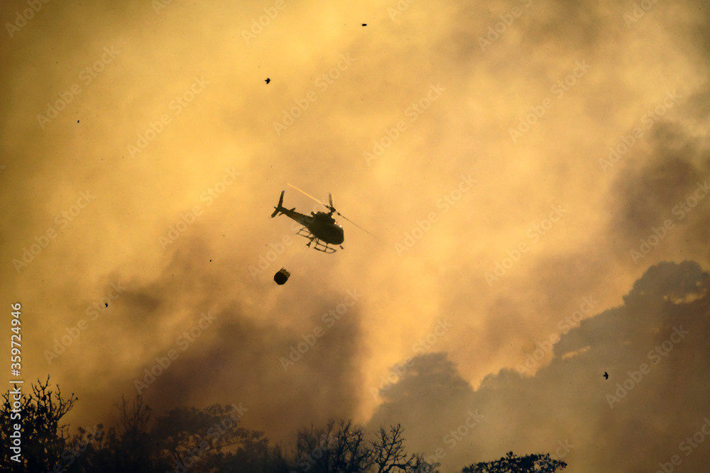 Obraz Helicopter dumping water on forest fire