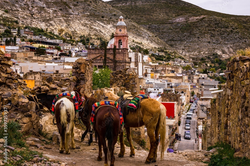 Naklejka premium Caballos esperando a ser montados en un rancho de México.